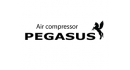PEGASUS