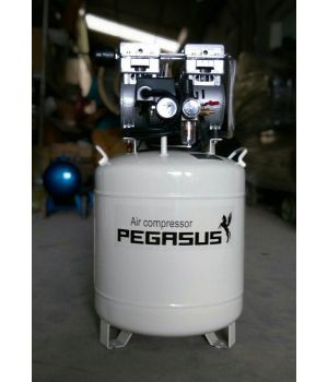 MÁY NÉN KHÍ KHÔNG DẦU GIẢM ÂM PEGASUS TM-OF750-50L