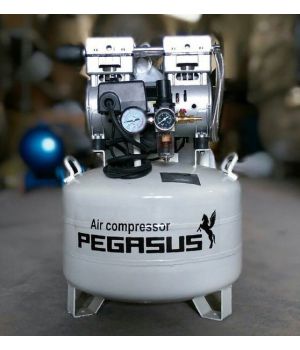 MÁY NÉN KHÍ KHÔNG DẦU PEGASUS TM-OF550-40L