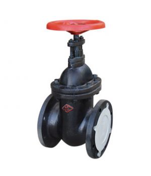 VAN 2 CHIỀU V2-60 60MM