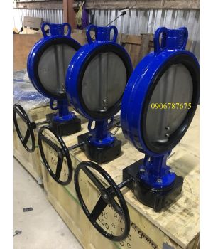 VAN BƯỚM TAY QUAY DN300 SW HÀN QUỐC